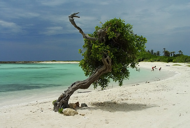 PraiaAruba_ Serge Melki_Flickr Baby Beach, em Aruba. Foto: Serge Melki, Flickr