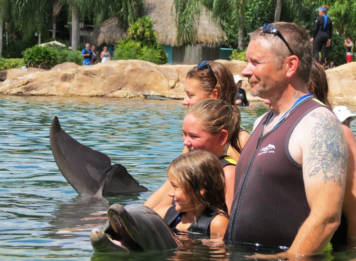 Golfinho Discovery Cove. Foto: GC/Blog Vambora! Nado com Golfinhos no Discovery Cove