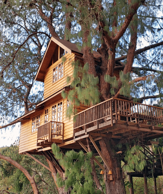 Casa na Arvore Parque Amantikir Campos do Jordao 