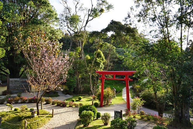 Jardim Japones Parque Amantikir