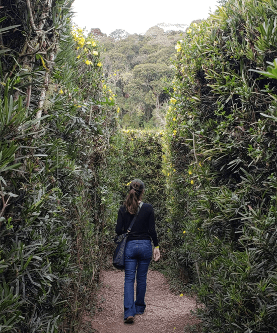 Labirinto Parque Amantikir Campos do Jordao