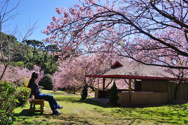 Parque das Cerejeiras Campos do Jordao