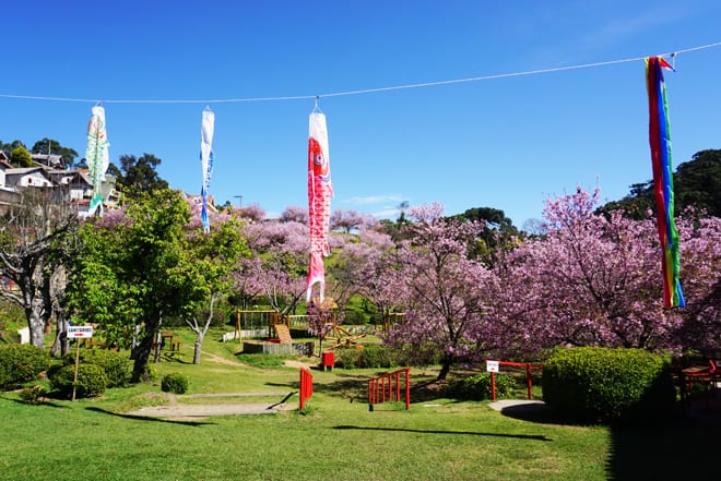 Parque das Cerejeiras Campos do Jordao