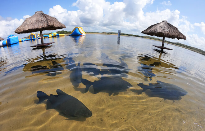 Lago dos Tambaquis em Aracaju