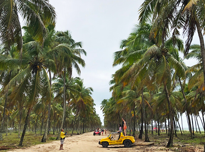 Passeio de buggy em Porto de Galinhas